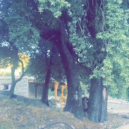 La Bergerie Du Chene Omessa