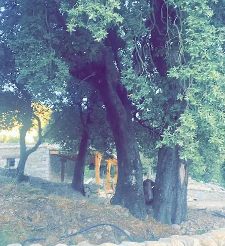 La Bergerie Du Chene Omessa